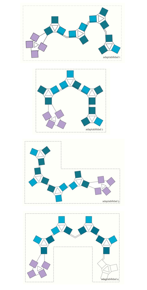 Tipos de crecimiento según el lugar.