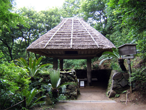 12_warehouse_on_stilts