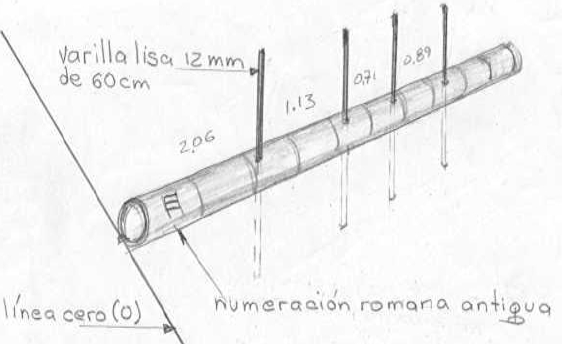 Replanteo de las cañas