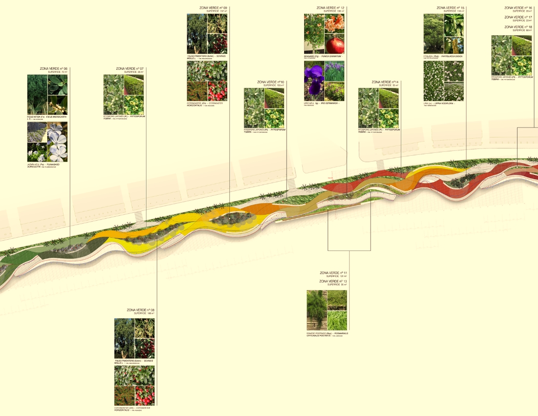 Paseo Marítimo Benidorm - P03